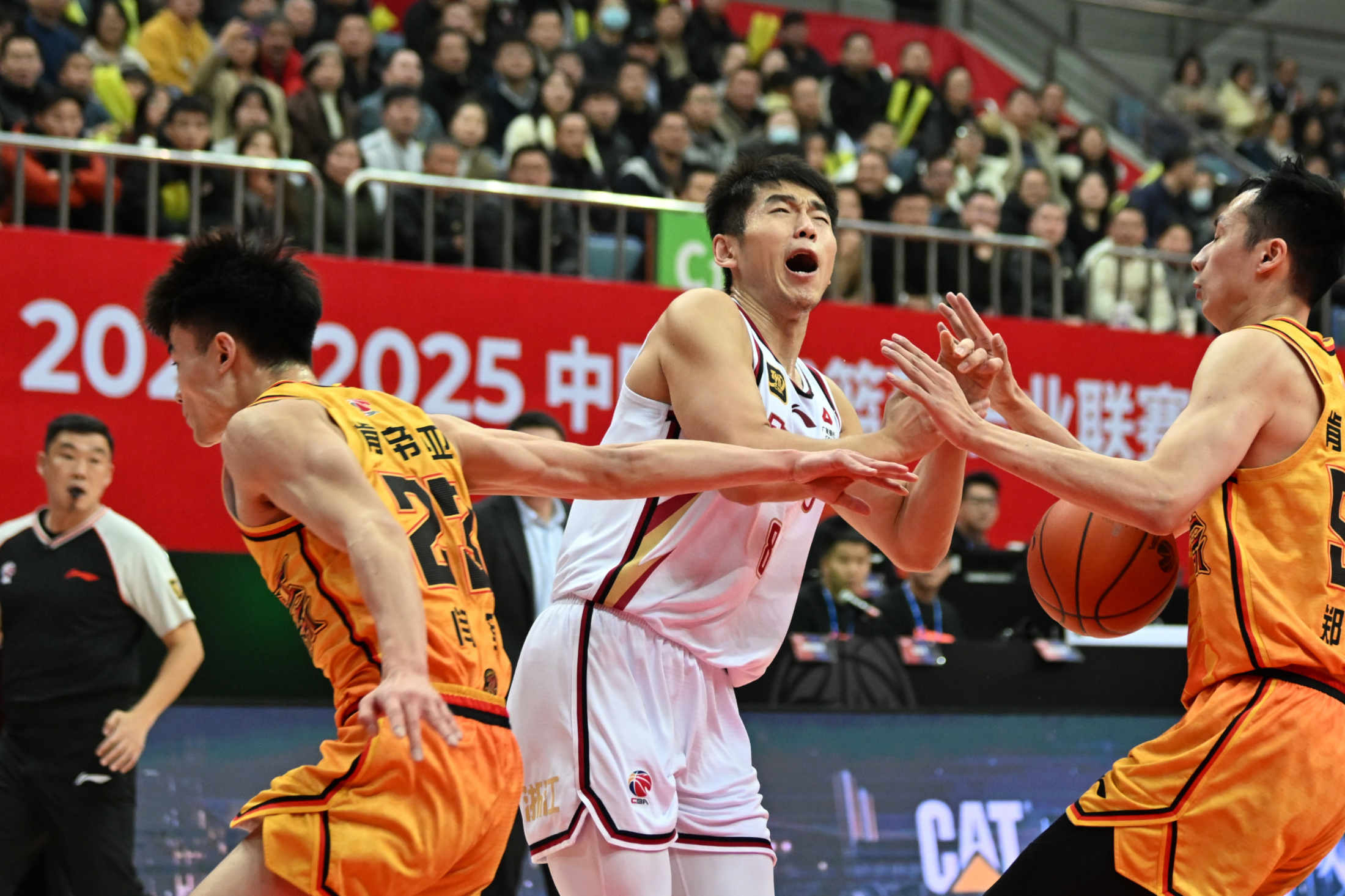 浙江队实力暴涨，赢得球迷欢心